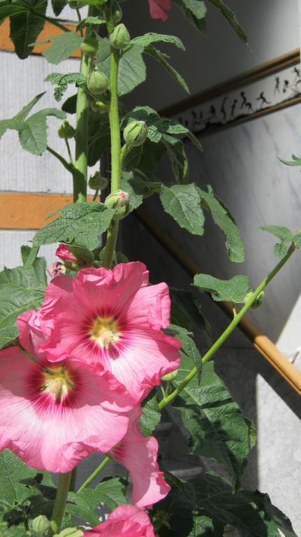 B&B Matin Tranquille 列日 外观 照片
