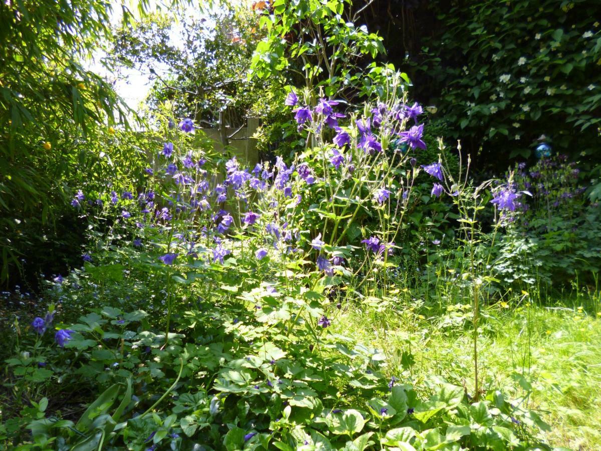B&B Matin Tranquille 列日 外观 照片